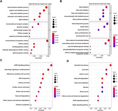 A Joint Model of Random Forest and Artificial Neural Network for the Diagnosis of Endometriosis